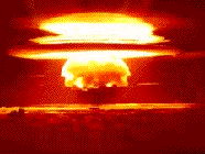 Microsoft Word Picture